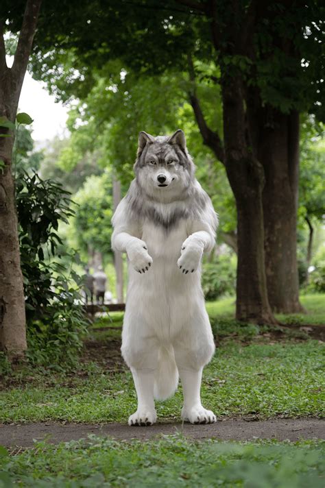 wolf adult costume|realistic wolf suit for sale.